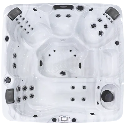 Avalon-X EC-840LX hot tubs for sale in Goldsboro