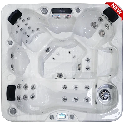 Avalon-X EC-849LX hot tubs for sale in Goldsboro